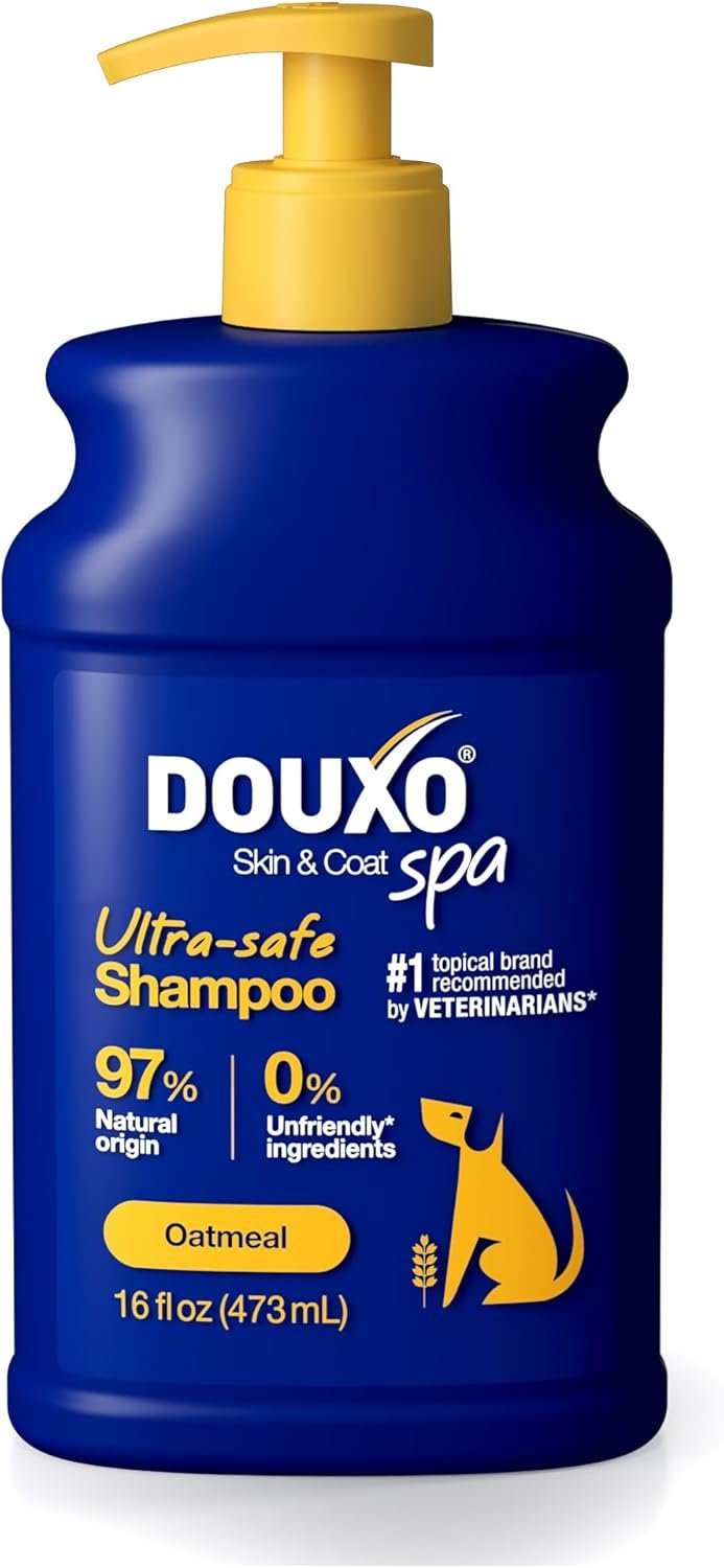 Oatmeal Shampoo: 10 Ultimate Steps For Amazing Dog Skin & Coat In 2026 7 61cdMxR9 aL. AC SL1500 Best Deal Picks