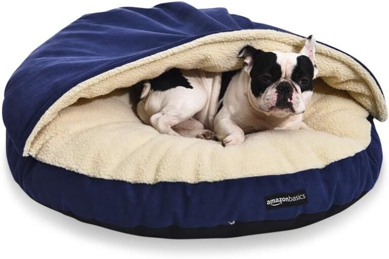 512N9CHhFyL. AC SL1000 Best Deal Picks