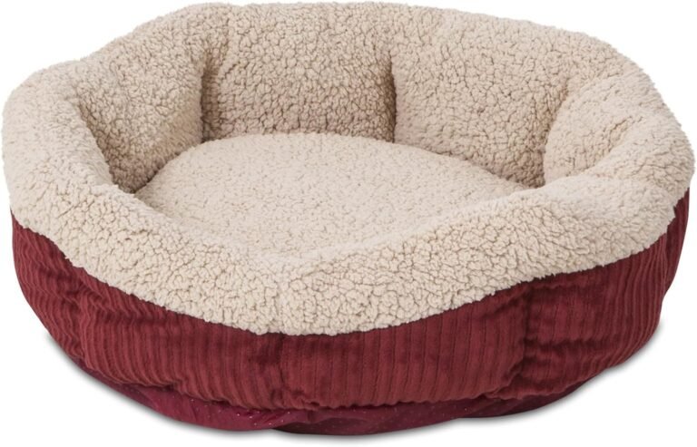 Product Reviews 16 816VDsEYFML. AC SL1500 Best Deal Picks