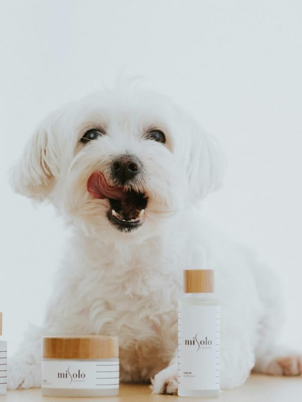 pexels-misolo-cosmetic-2588316-4841264 pexels-misolo-cosmetic-2588316-4841264